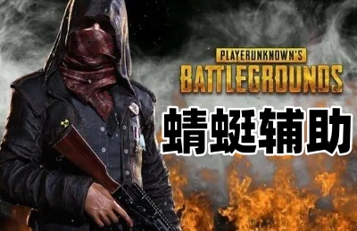 绝地求生蜻蜓辅助